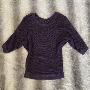 Express purple and silver shirt sweater